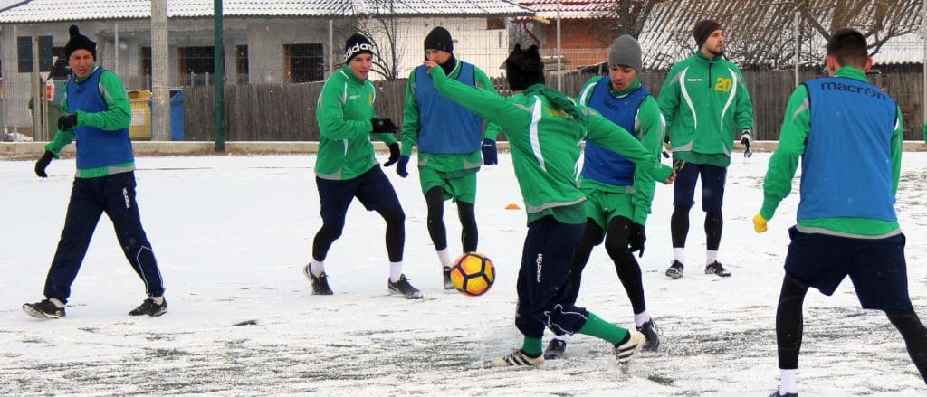 Galben-verzii și-au reluat pregătirea