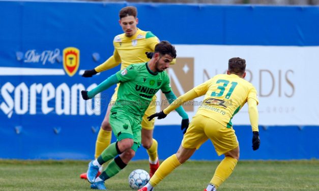 CS Mioveni s-a impus cu 2-0 în faţa lui Dinamo, într-o partidă de verificare
