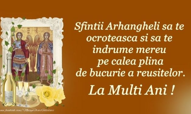 Mesajul deputatului PSD de Argeș Remus Mihalcea cu prilejul sărbătoririi Sfinților Mihail și Gavriil
