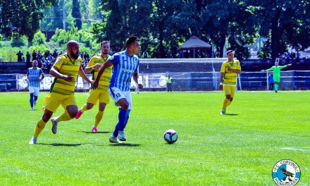 Eşecuri pentru CS Mioveni şi FC Argeş în Liga 2